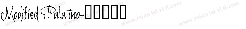 Modified Palatino字体转换